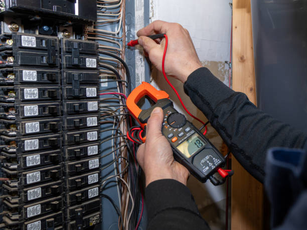 Best Ceiling Fan Installation Electrician  in Sioux City, IA